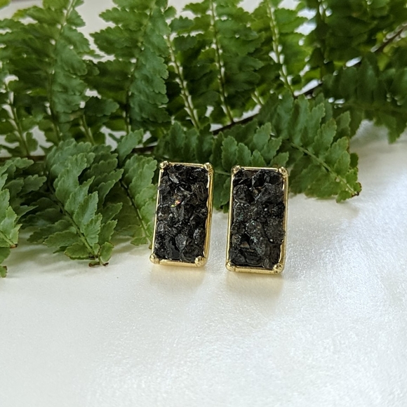 Jewelry - 🎉HP🎉2/$20🌼Raw Black Tourmaline Earrings